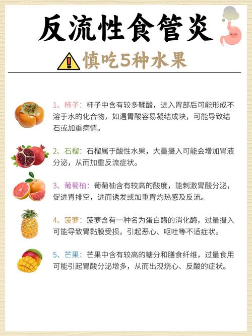 饭后吃什么水果最减肥瘦身