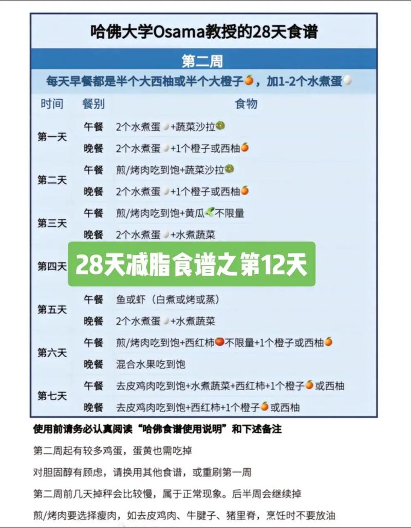 中午什么时候吃饭减肥