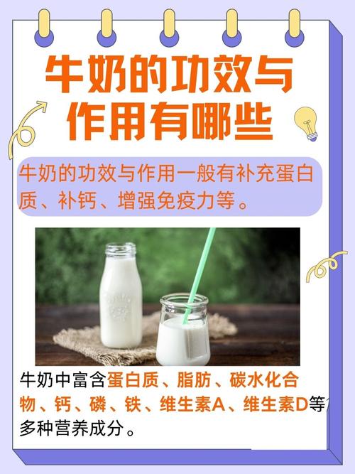 喝纯牛奶有什么用