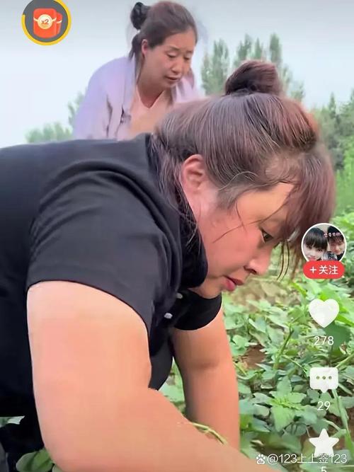 鹏鹏和丹丹最新视频全部