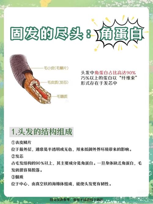 头发为什么老掉