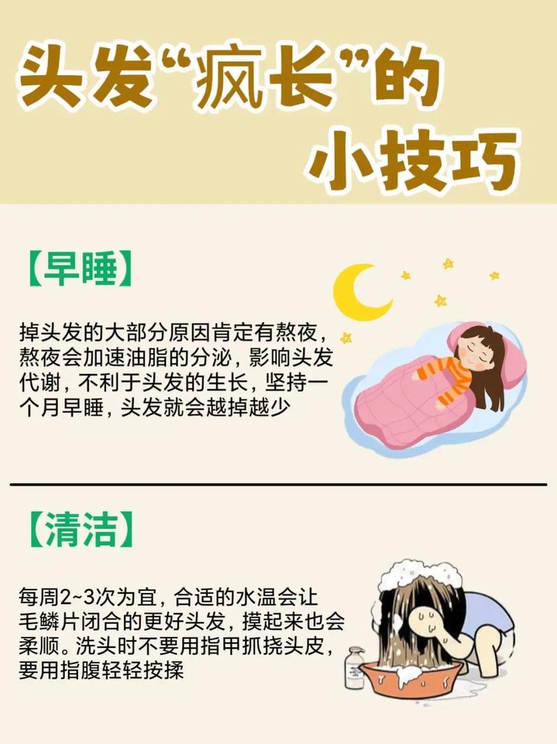 头发为什么老掉