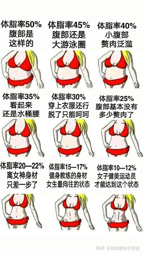 什么体重适合跑步减肥吗