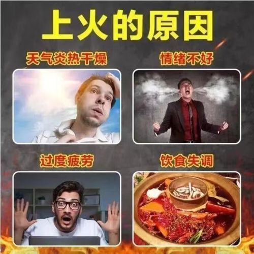 吃什么是去火的