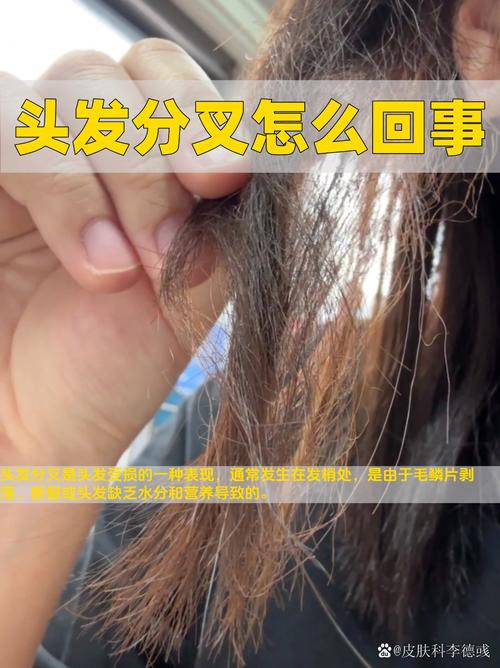 发梢是什么意思