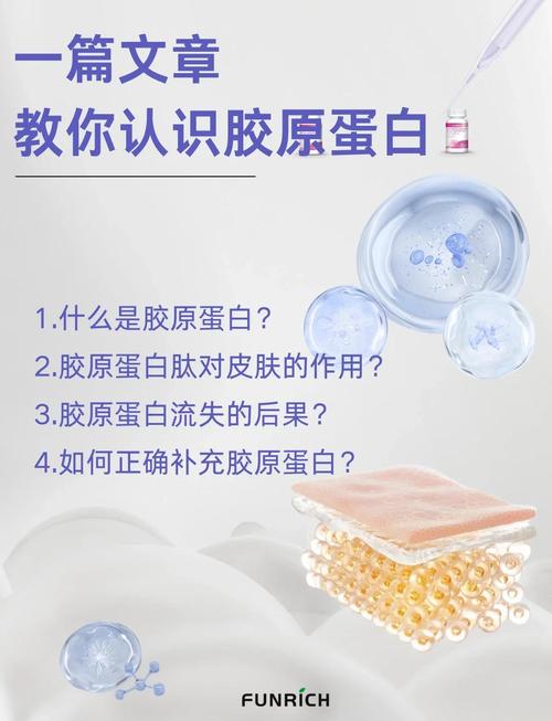 什么能补充胶原蛋白
