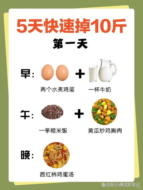 什么节食减肥更有效