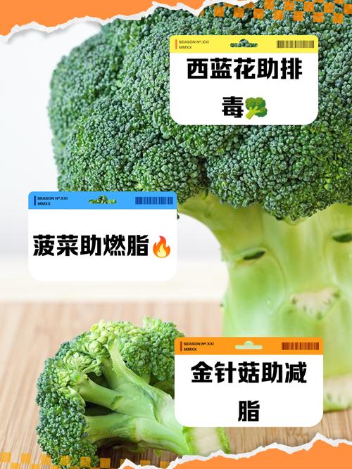 什么菜减肥可以吃