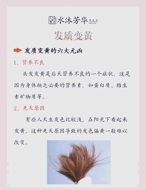 头发偏黄缺什么