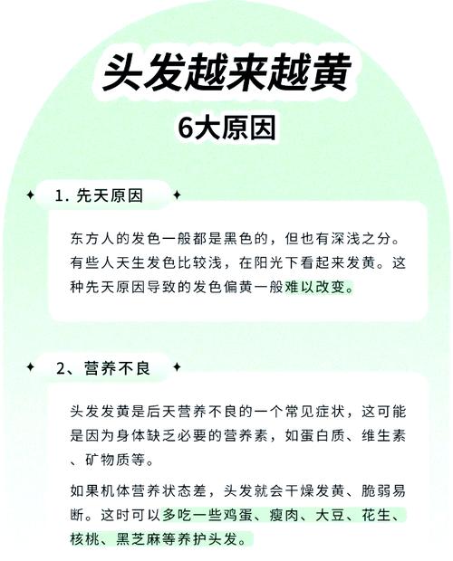 头发偏黄缺什么