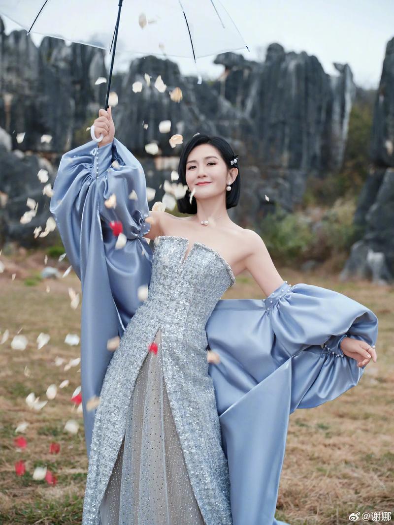 谢娜减肥软件是什么意思