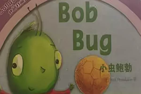 bob是什么意思啊