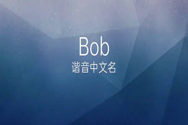 bob是什么意思啊