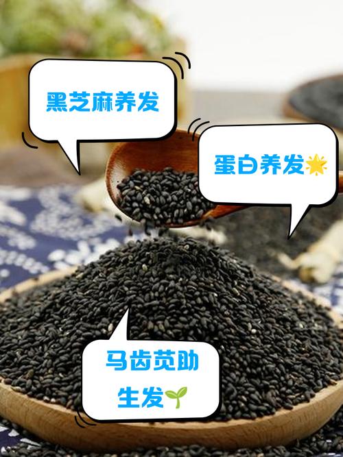 吃什么食物养头发