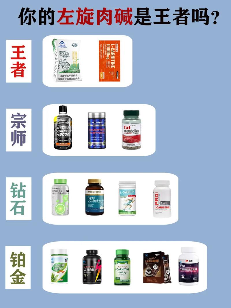 左旋肉碱出汗为什么减肥