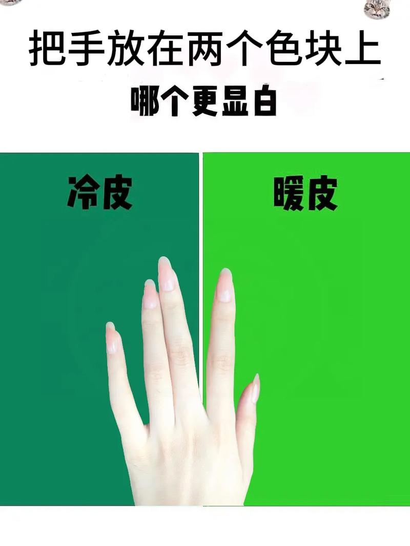 冷皮是什么