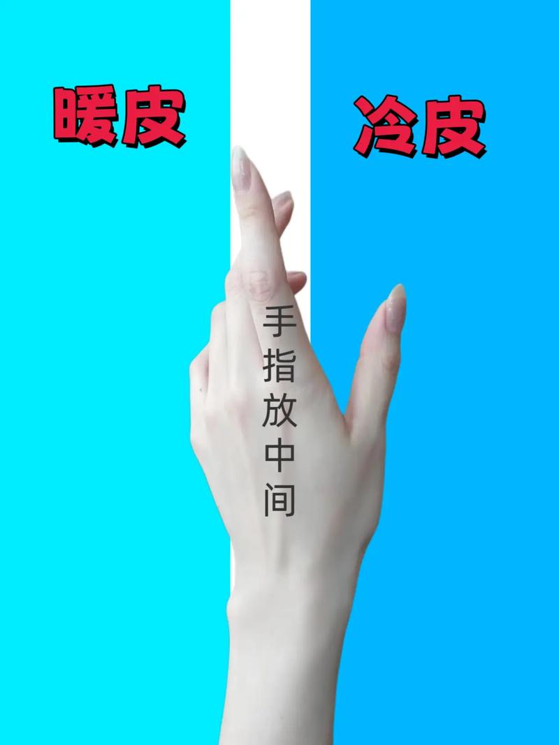 冷皮是什么