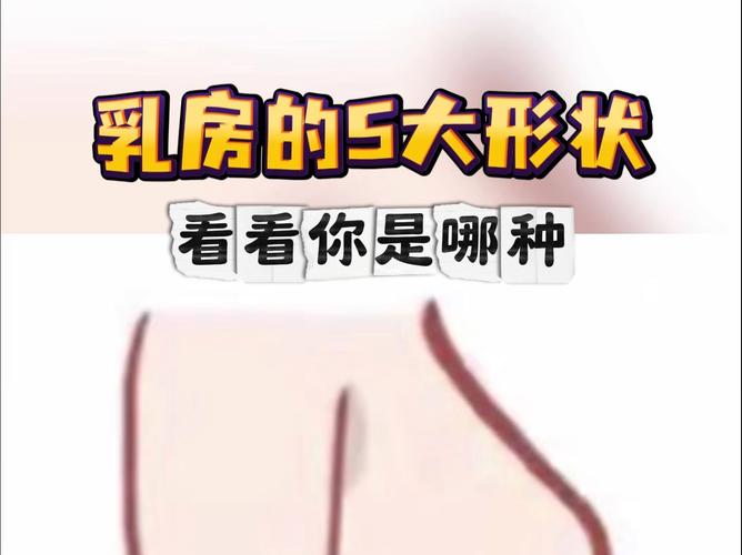 正常的乳房是什么样的