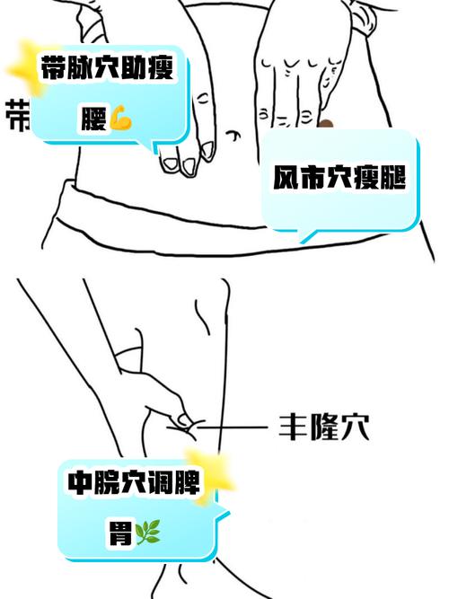 按摩什么穴减肥