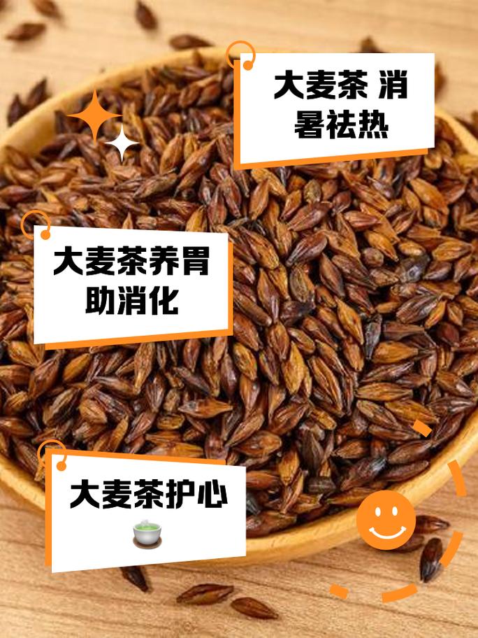 大麦茶什么时候喝减肥