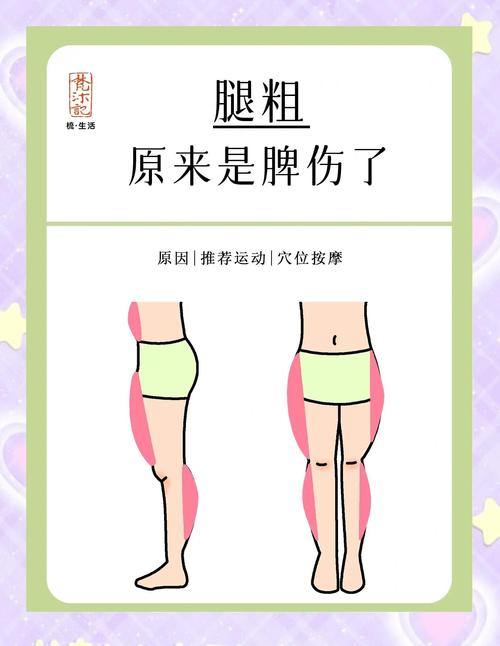 腿粗什么原因造成的