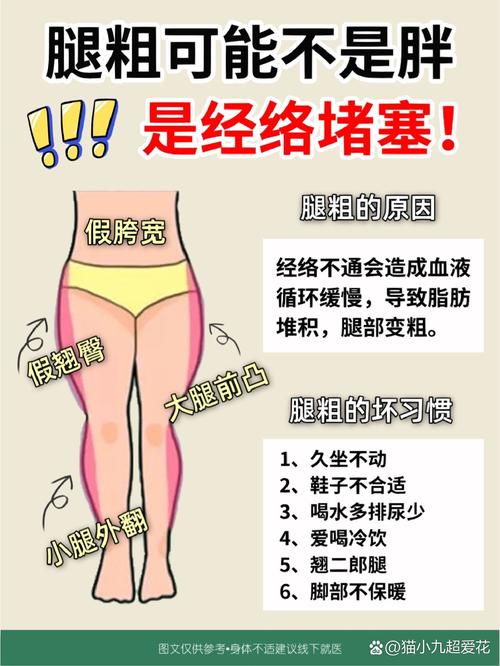 腿粗什么原因造成的