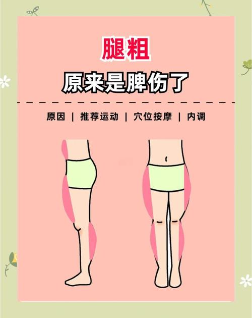 腿粗什么原因造成的