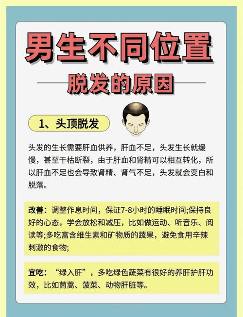 经常掉发什么原因