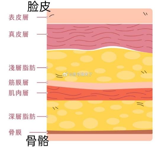 超声刀减肥原理是什么