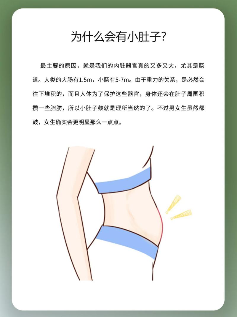 为什么会长小肚子