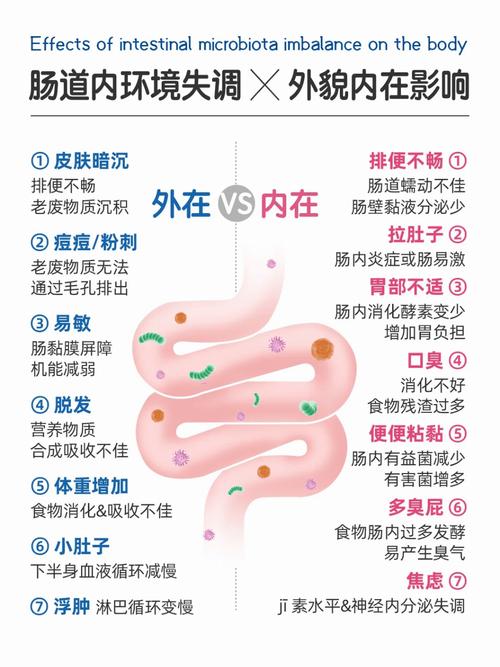 肠道什么菌能减肥