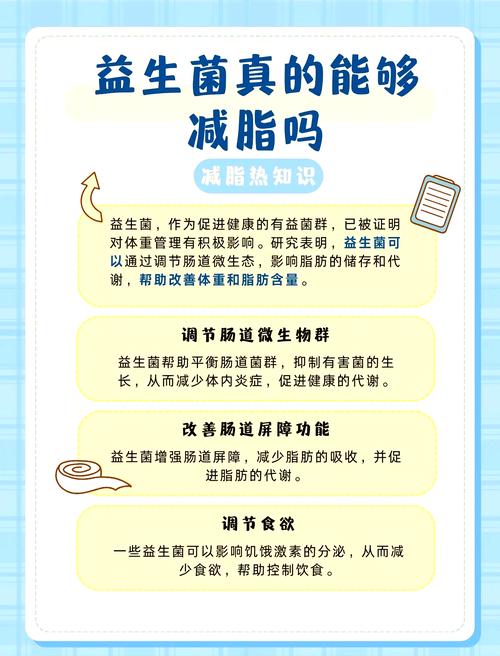 肠道什么菌能减肥