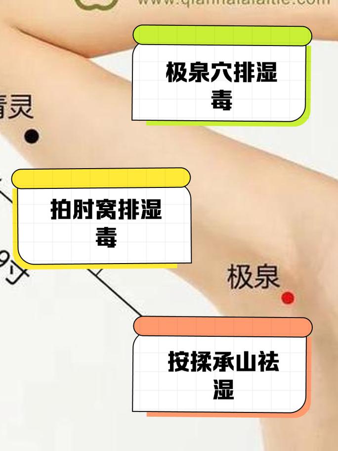腋下减肥拔罐八什么穴位