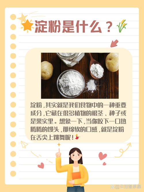 淀粉类食物为什么可以减肥