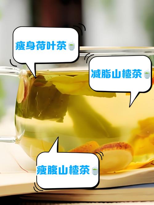 胖人喝什么茶减肥