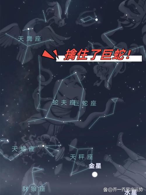 什么是蛇夫座