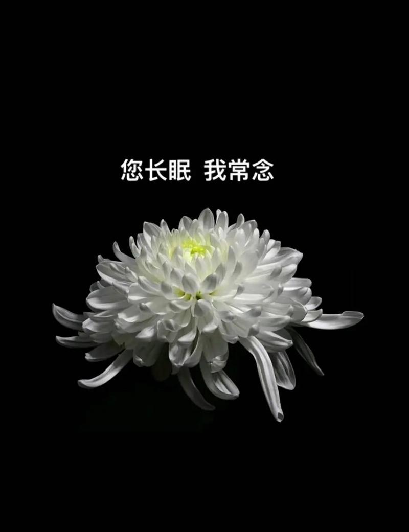故去是什么意思