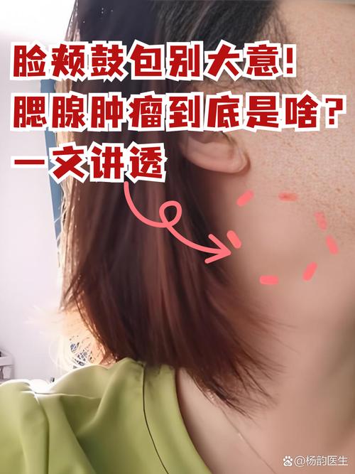 什么面颊