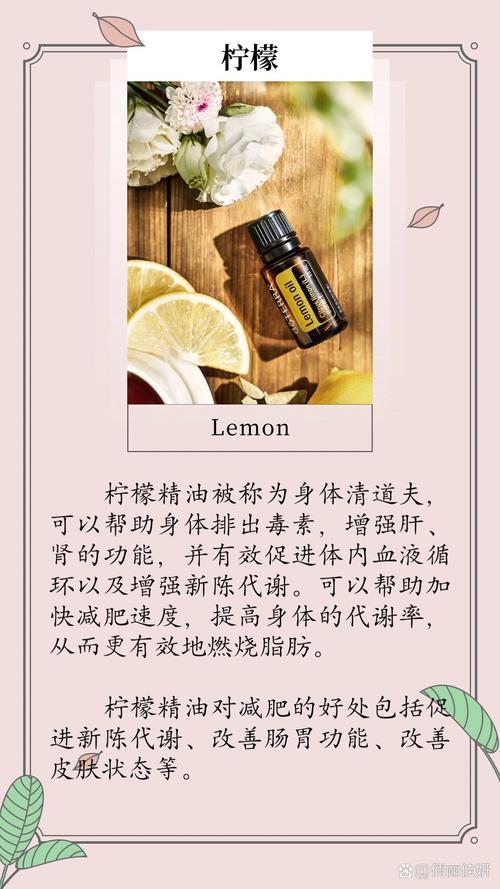什么精油可以减肥