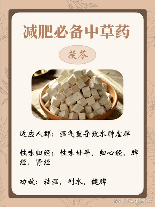 喝什么中药减肥效果最好