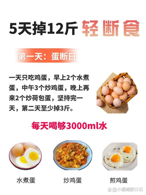 减肥饿了吃什么不会胖