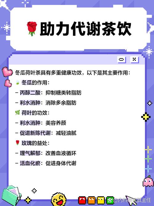 冬瓜荷叶茶什么时候喝可以减肥