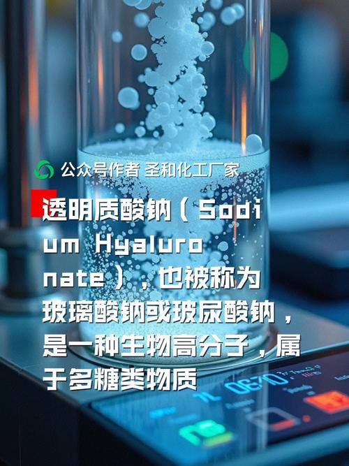 透明质什么