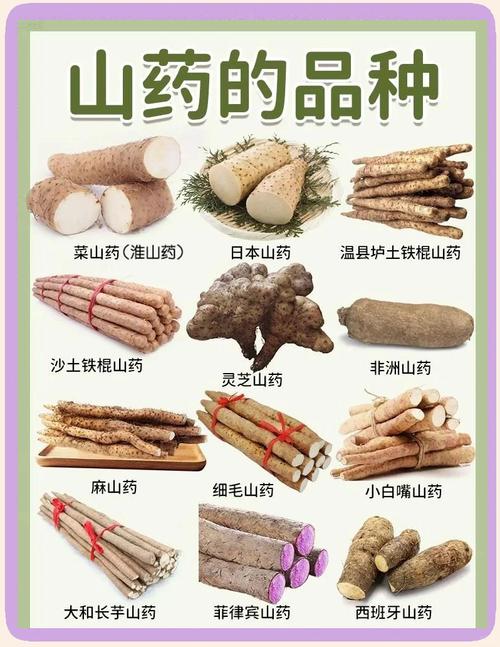 什么山药减肥