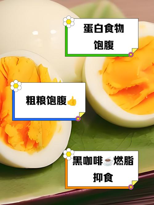 吃什么会有饱腹感