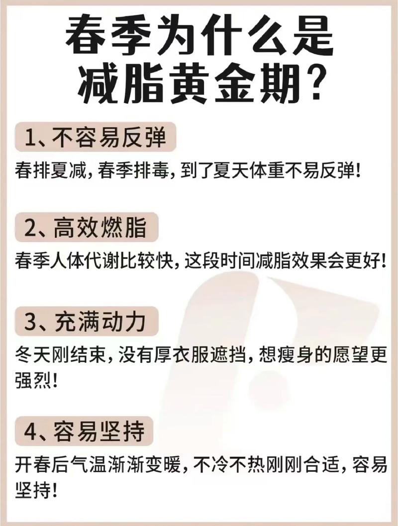 减肥为什么贵反弹