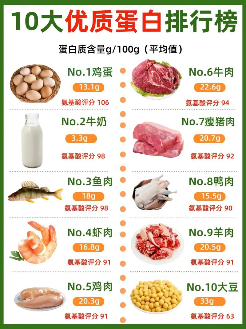什么食物蛋白质最多