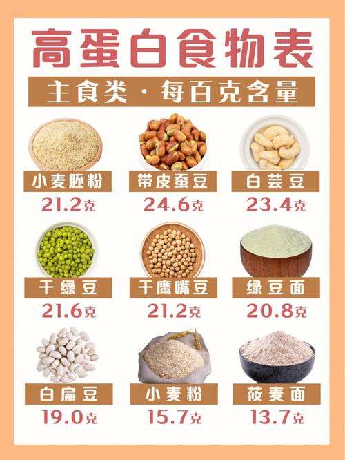 什么食物蛋白质最多