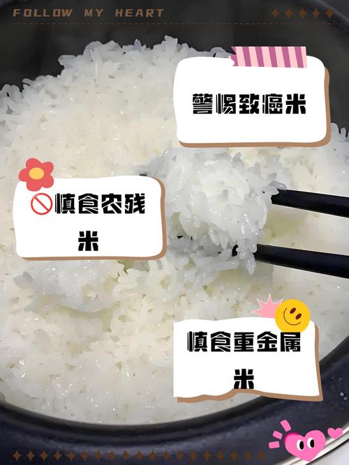 减肥为什么不能吃大米
