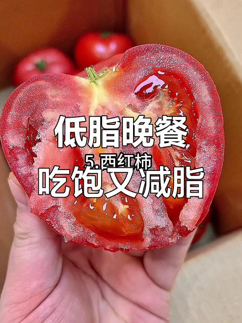 减肥睡前太饿能吃什么